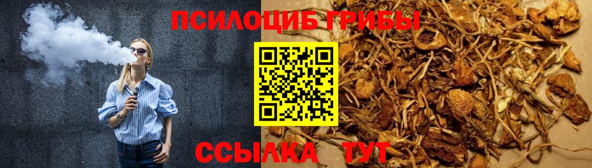 Псилоцибиновые грибы прущие грибы  Вход с VPN  Галлюциногенные грибы прущие грибы  Санкт-Петербург 
